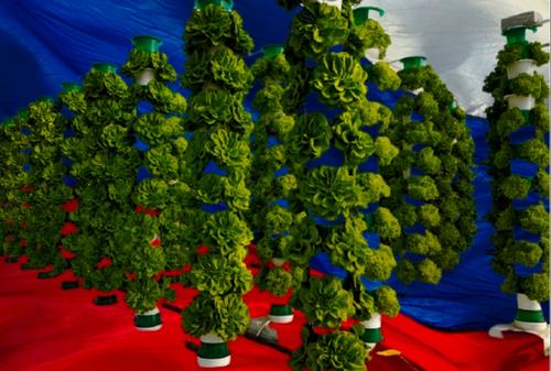 Автор проекта &laquo;20 идей по развитию России&raquo; предлагает развивать &laquo;вертикальное&raquo; земледелие