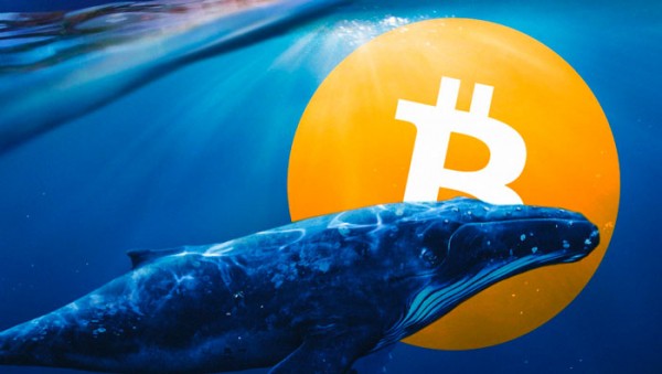 Биткоин-киты наращивают свои активы