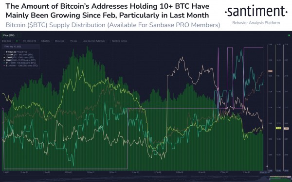 Биткоин-киты наращивают свои активы