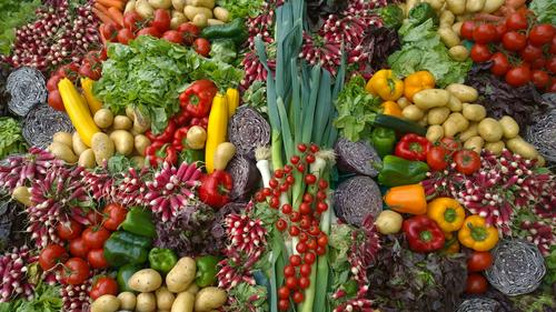 Долгожители рассказали, какой продукт они употребляют ежедневно