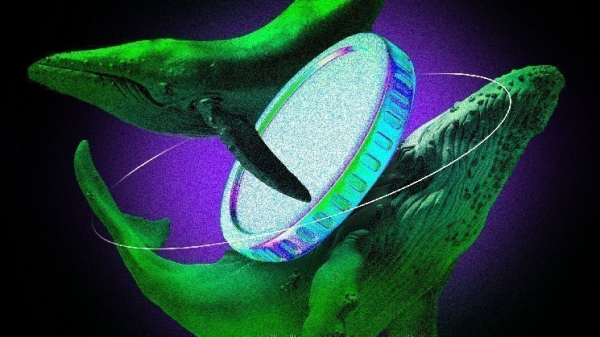 Что покупали криптокиты на третьей неделе мая 2025 года Что покупали криптокиты на третьей неделе мая 2025 года