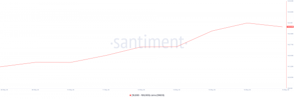 Что покупали криптокиты на третьей неделе мая 2025 года Что покупали криптокиты на третьей неделе мая 2025 года