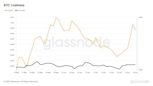 Киты активно распродают биткоин &mdash; что будет с ценой BTC