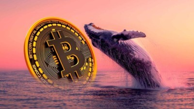 Влияние лонг позиций Джеймса Уинна на падение цены Bitcoin: анализ рынка и психология китов