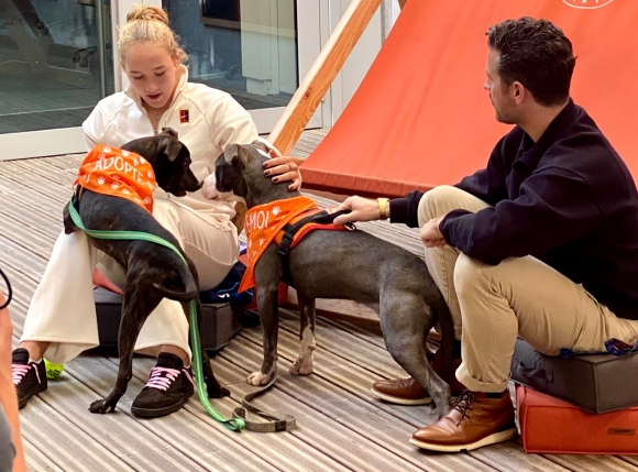 Мирра Андреева: Собака тоже мне поможет снимать стресс Мирра Андреева: Собака тоже мне поможет снимать стресс