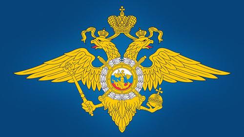 Невидимый фронт: МВД России успешно борется с кибермошенниками