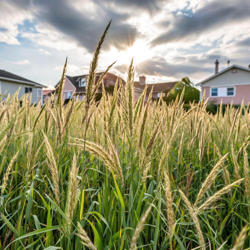 За что в России можно получить штраф летом?